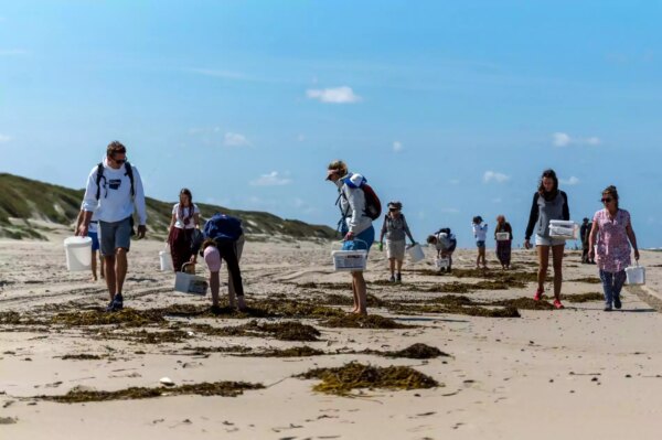 National Geographic Beach Cleanup